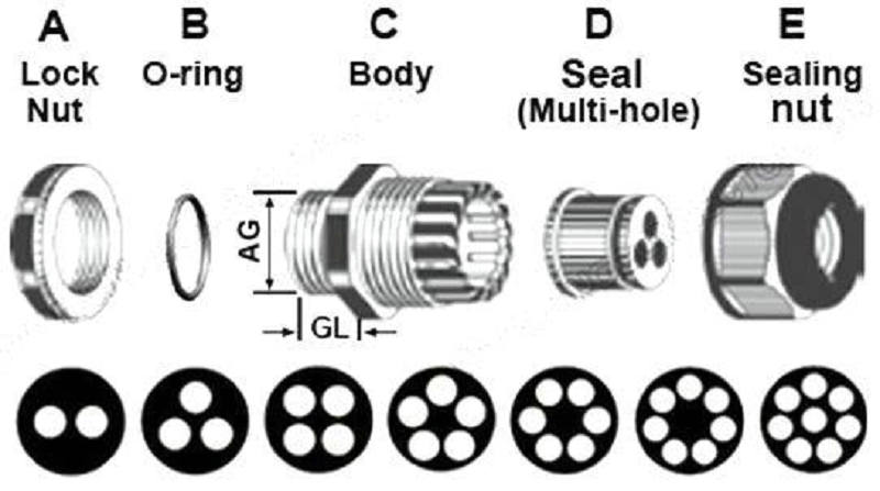 Multi Cable Gland